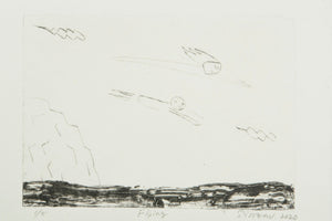 [SINZOW] 額装付き版画作品「Flying」