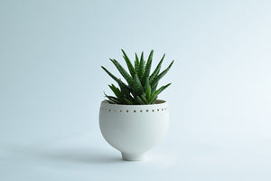 Porcelain and glass monotone planter – SferaOnlineShop