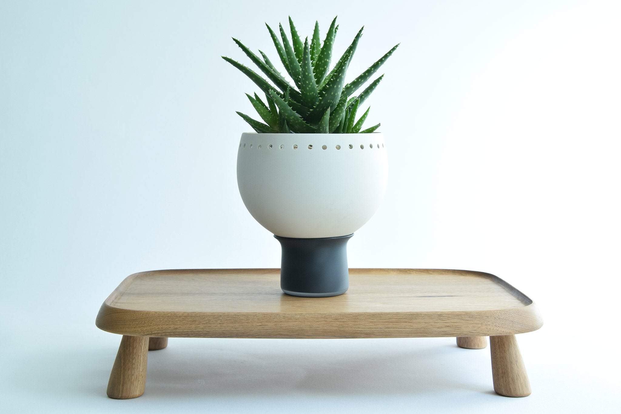 Porcelain and glass monotone planter – SferaOnlineShop